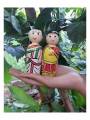 Tamil Couple Doll - Geographical Indexed